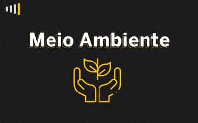 ESG: 82% dos líderes empresariais acreditam que suas empresas adotam critérios de responsabilidade ambiental, social e de governança