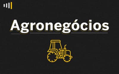 INDICADORES: preço do café começa esta sexta-feira (6) em queda